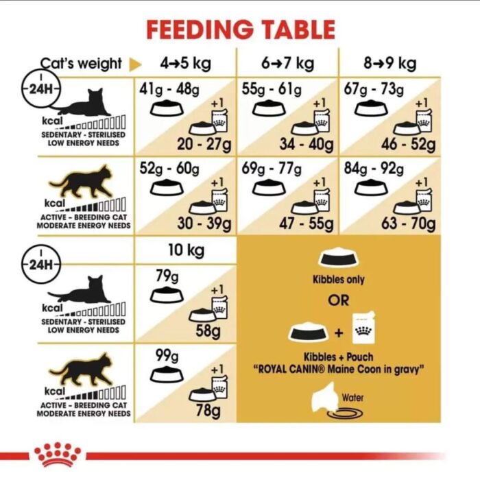 maine coon cat feeding chart